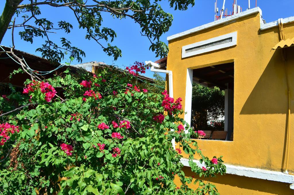 Jardin Etnobotanico Villa Ludovica Santa Marta Oda fotoğraf